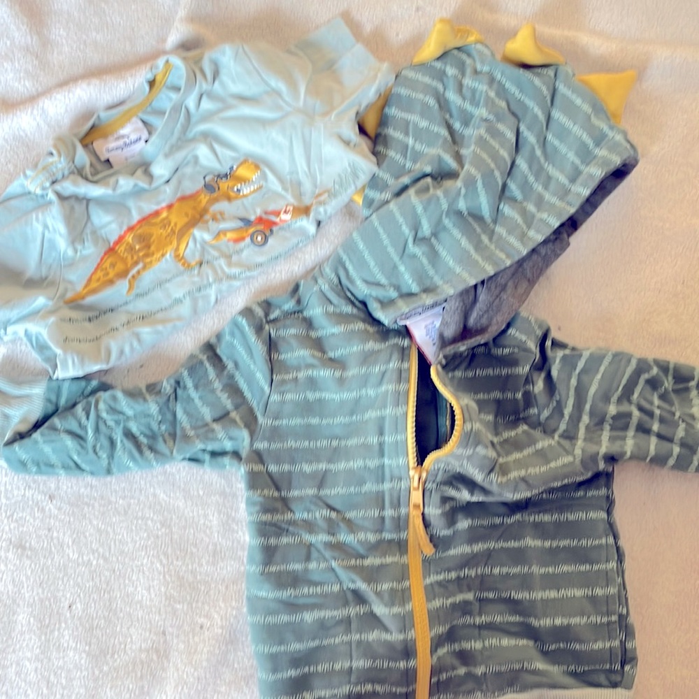 Dino baby matching shirt with hoodie